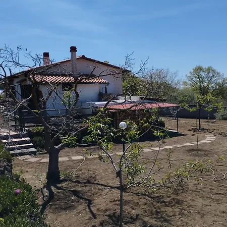 Risveglio Sull'etna *