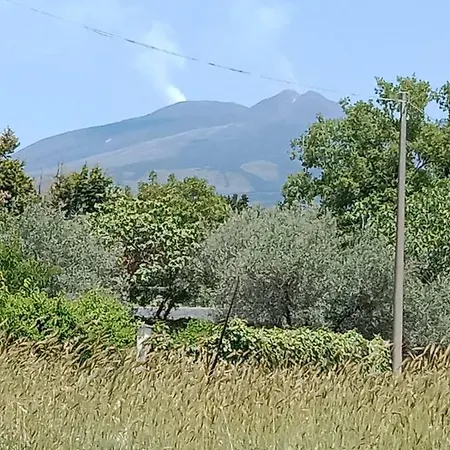 Risveglio Sull'etna 펜션 *